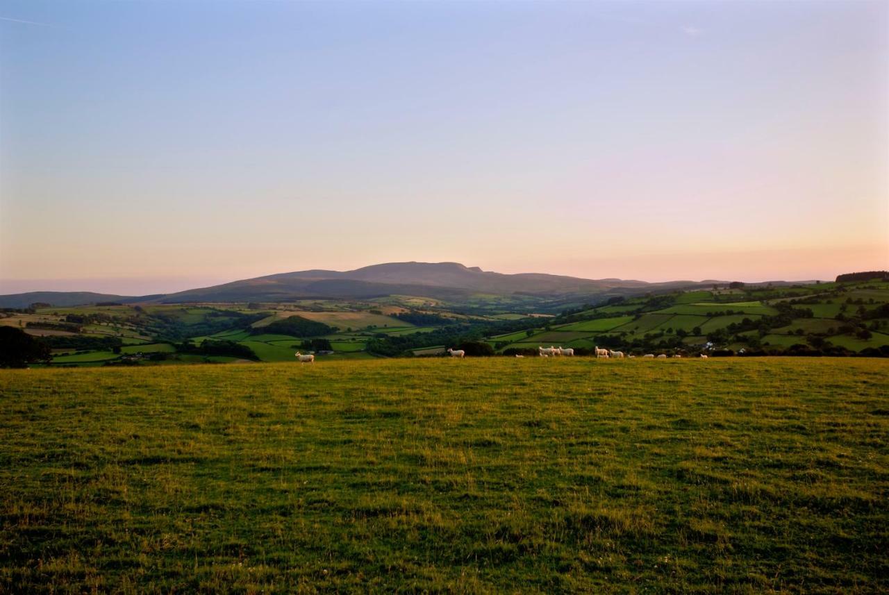 Snug Oak Hut With A View On A Welsh Hill Farm Apartment Brecon Ngoại thất bức ảnh