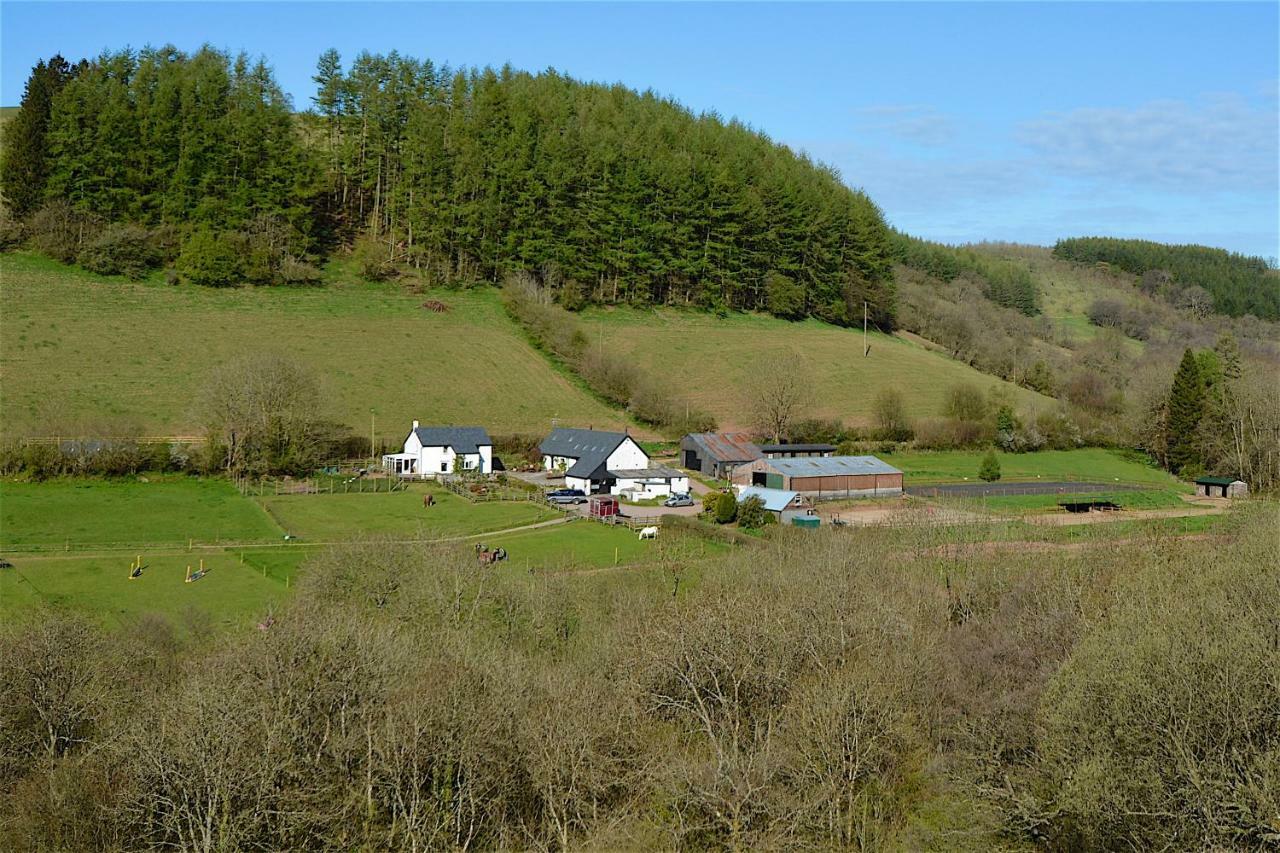 Snug Oak Hut With A View On A Welsh Hill Farm Apartment Brecon Ngoại thất bức ảnh